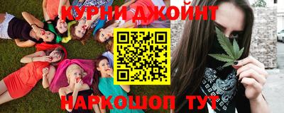 гашик Сланцы